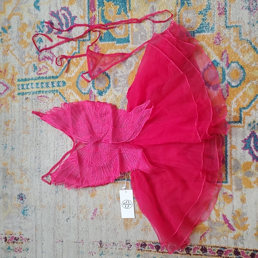 Sheer Fushia Pink Lingerie